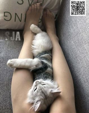 91啦在线观看_在线免费观看电影