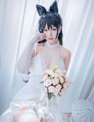 变形金刚2英文原版_高清完整版免费全集免费观看