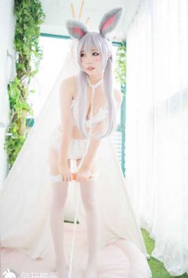 梅花儿香电视剧全集_1080P免费电视剧