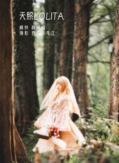 年轻的母亲6在线观看_视频大全成人直接看