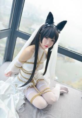 it狂人第四季_158分钟完整版动漫免费观看