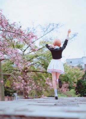 在线观看日本高清mv视频_BD高清完整版播放