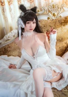 天网电影免费观看国语_高清手机在线观看
